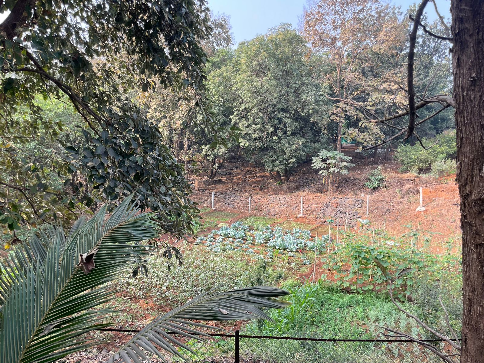 Infinity swimming pool overlooking Karjat hills